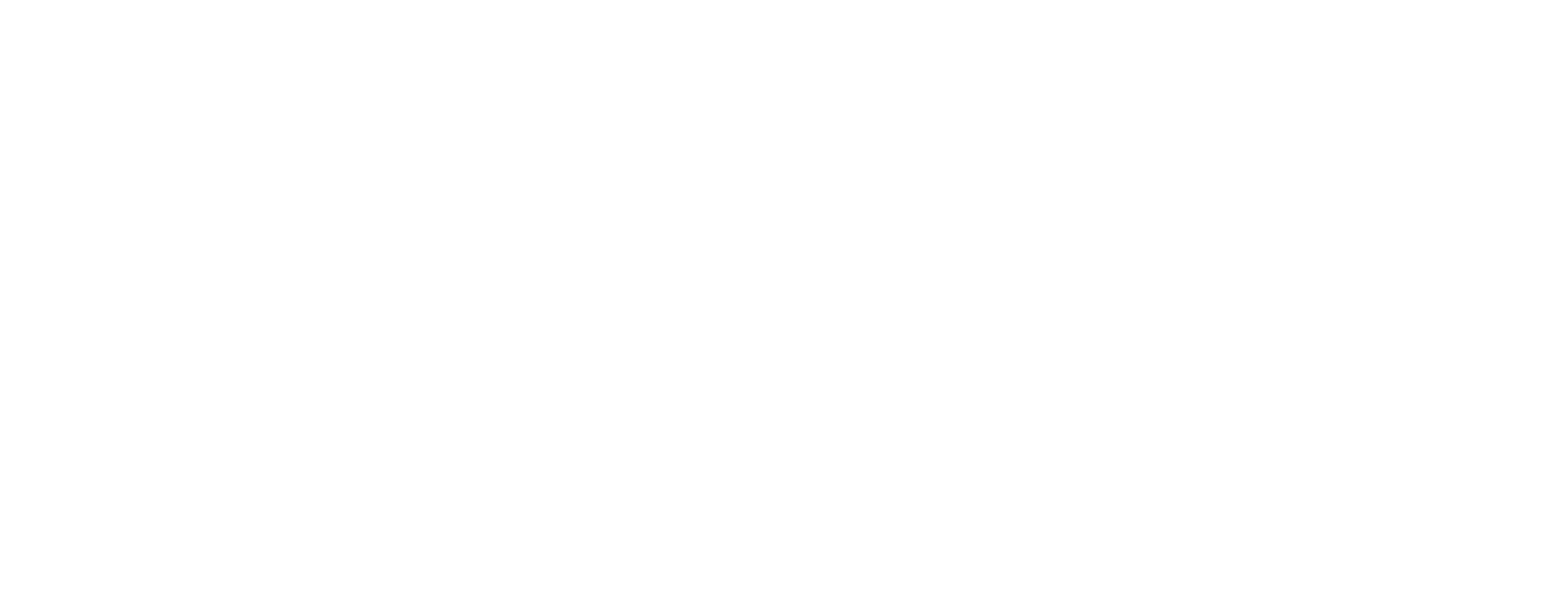 sinvo.png